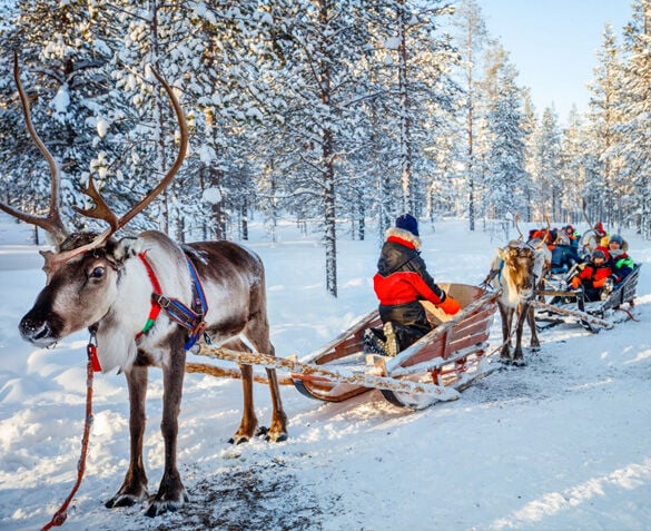 8-daagse winterreis Fins Lapland incl. vlucht & ontbijt & excursies en meer!
